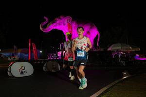 BIB: 
                            <button type="button" onclick="openModal(26543171)" class="btn btn-primary btn-sm float-right btn-popup" data-toggle="modal" data-target=".modal-high-quality">
                        <i class="fas fa-shopping-cart"></i> Add to Cart
                    </button>
                                            <button type="button" onclick="isThisMe(26543171, true)" class="btn btn-success btn-sm float-right btn-popup btn-isme hidden" data-toggle="tooltip" data-placement="bottom" title="นี่คือรูปของคุณใช่ไหม คลิกที่นี่เพื่อเอาเข้าอัลบั้ม">
                        <i class="fas fa-plus"></i> Add to album
                    </button>
                    <button type="button" onclick="isThisMe(26543171, false)" class="btn btn-warning btn-sm float-right btn-popup btn-isnotme hidden">
                        <i class="fas fa-ban"></i> Remove from album
                    </button>